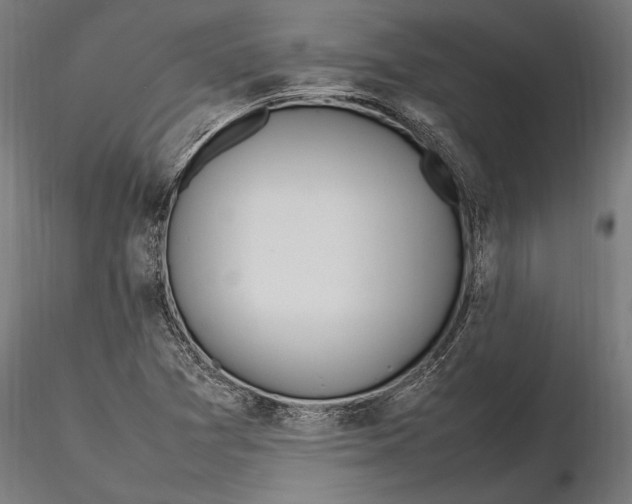 X0000116101361200912140947