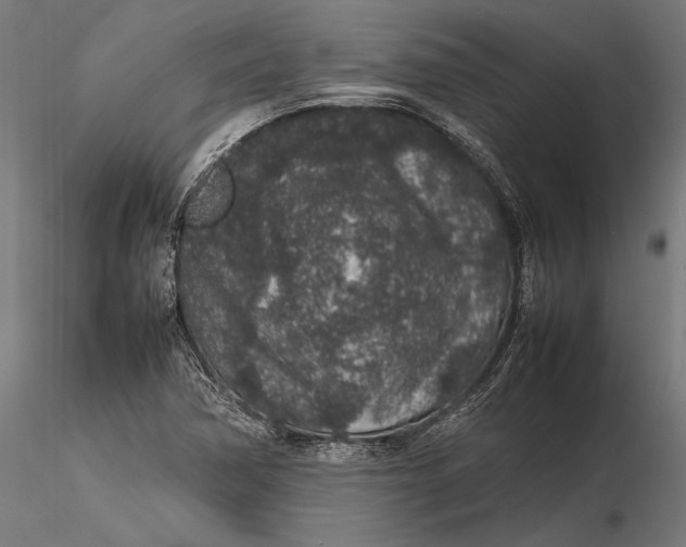 X0000116101362200912140947