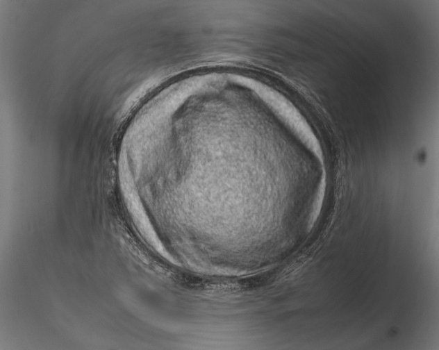 X0000116101363200912140947