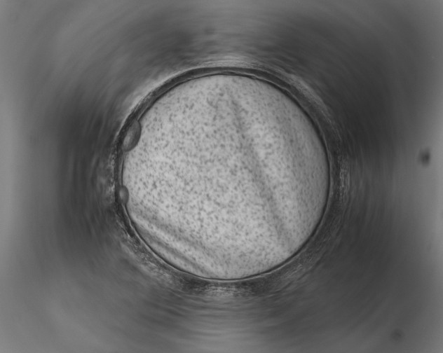 X0000116101364200912140947