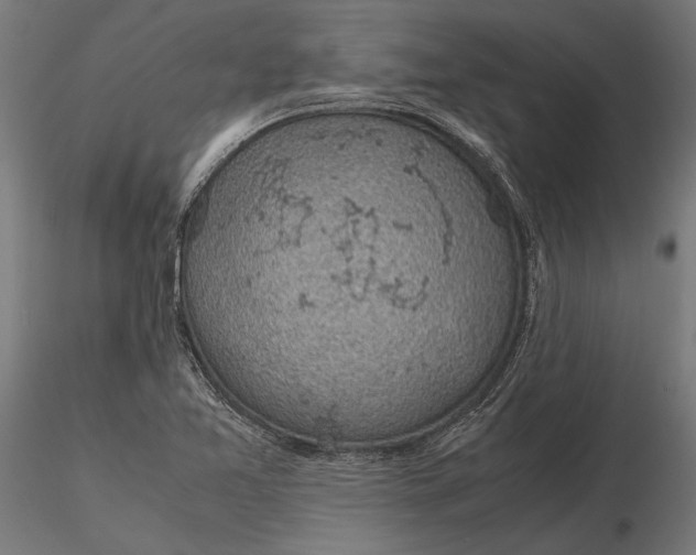 X0000116101365200912140947