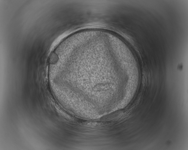 X0000116101366200912140947