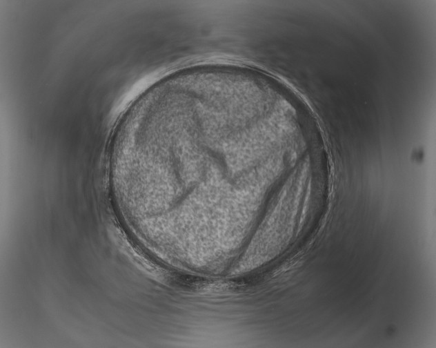 X0000116101367200912140947