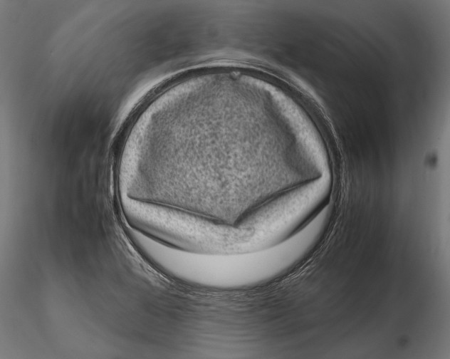 X0000116101368200912140947