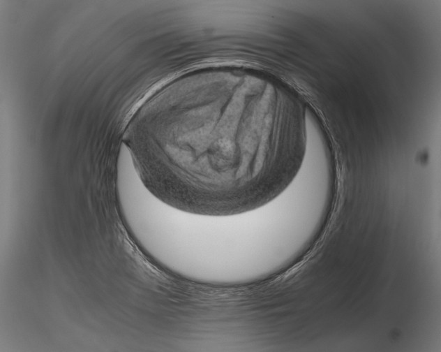 X0000116101369200912140947