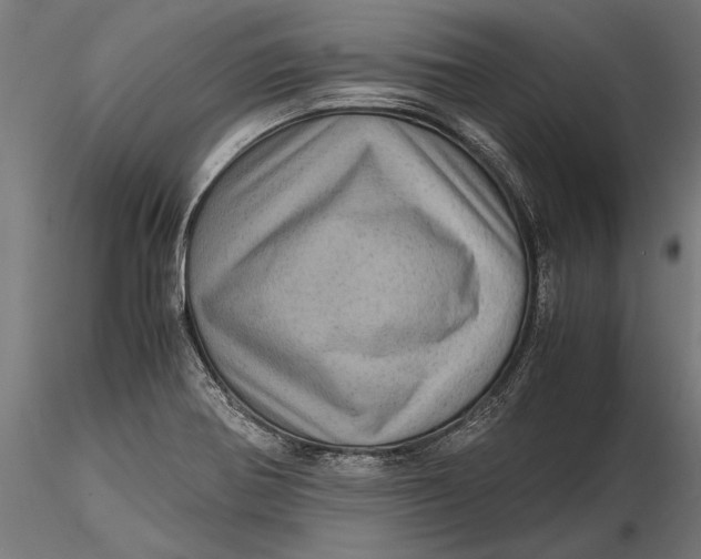 X0000116101370200912140947