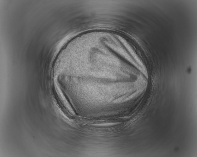 X0000116101371200912140947