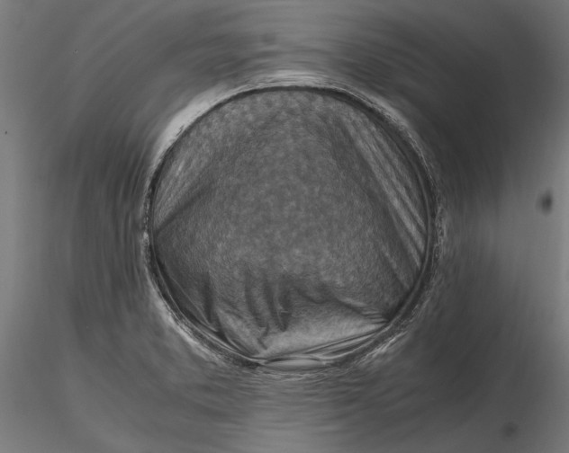 X0000116101373200912140947