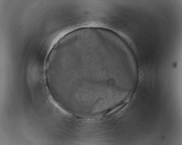 X0000116101374200912140947