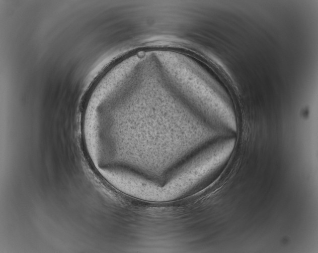 X0000116101376200912140947