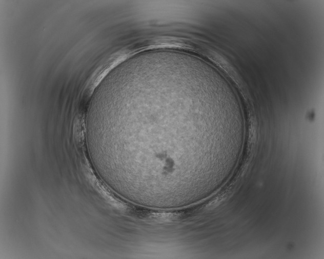 X0000116101377200912140947