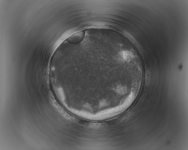 X0000116101378200912140947