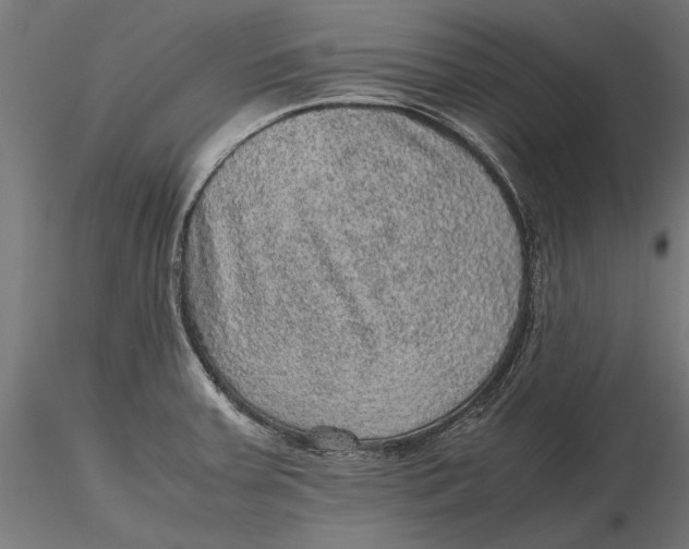 X0000116101379200912140947