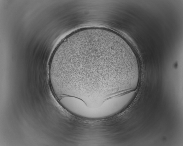 X0000116101380200912140947