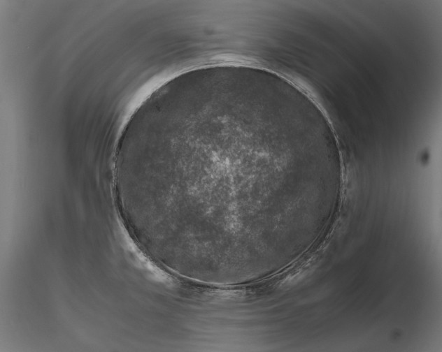 X0000116101381200912140947