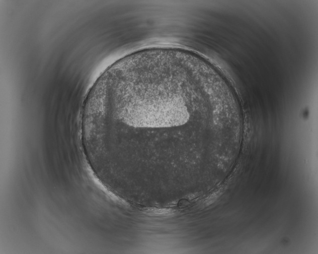 X0000116101382200912140947