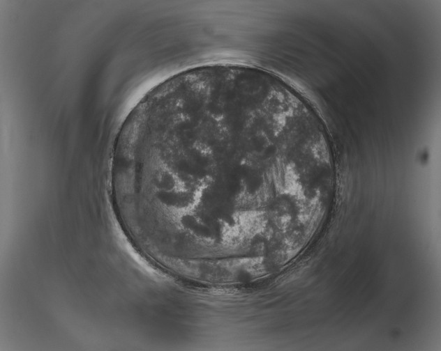 X0000116101383200912140947