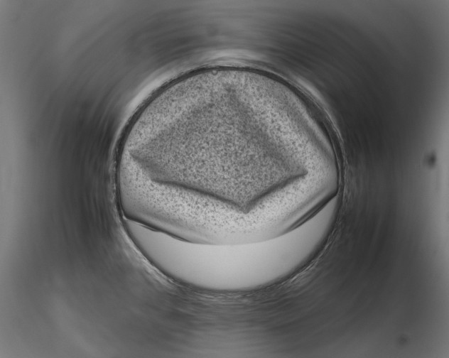 X0000116101384200912140947