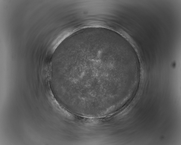 X0000116101385200912140947