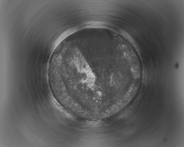 X0000116101386200912140947