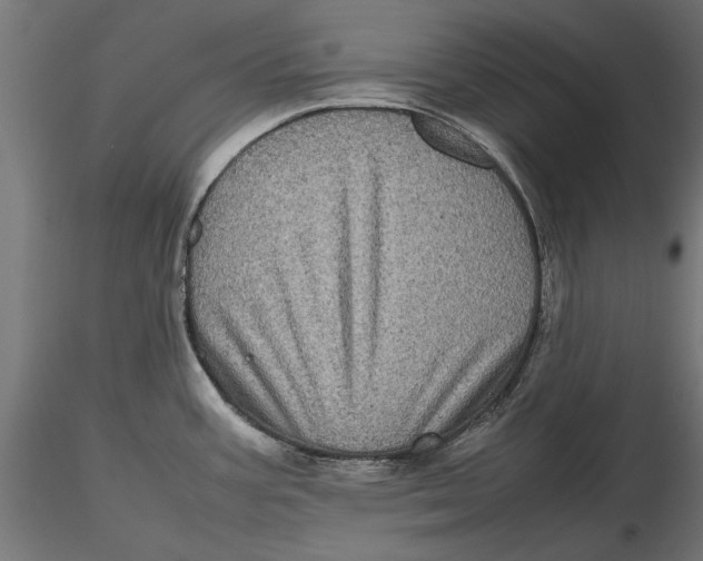 X0000116101387200912140947