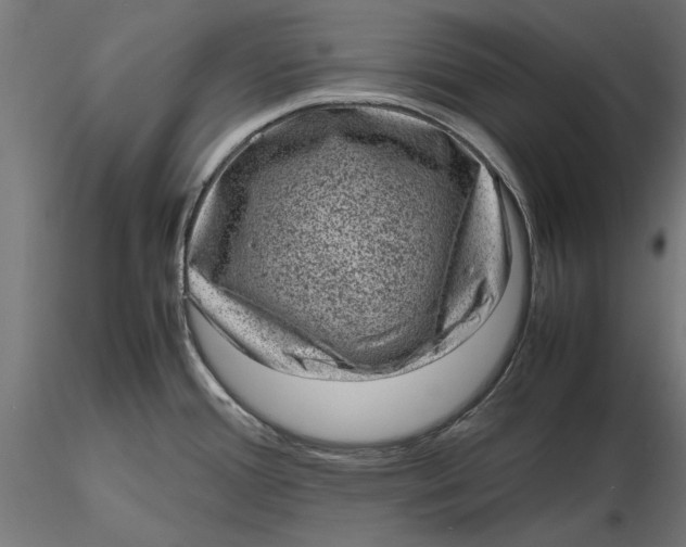 X0000116101388200912140947