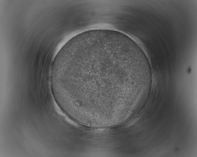 X0000116101390200912140947