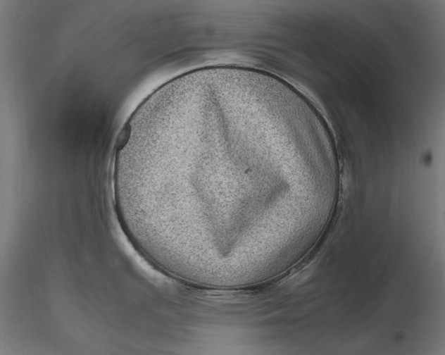 X0000116101391200912140947