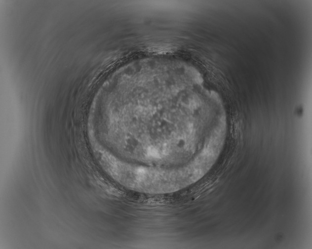 X0000116101393200912140946