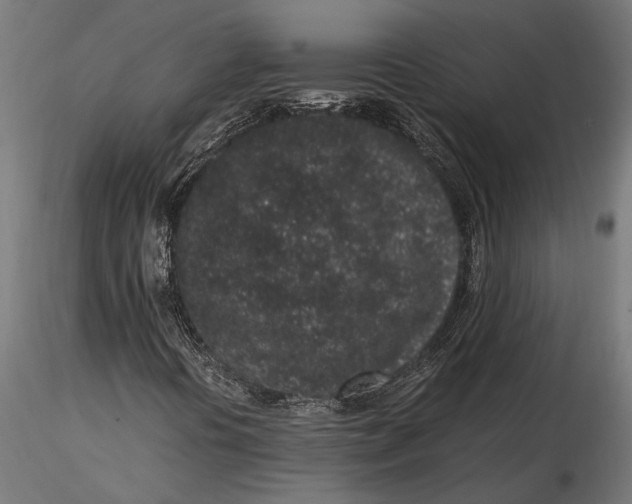 X0000116101394200912140946