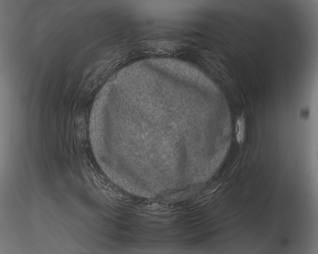 X0000116101395200912140946