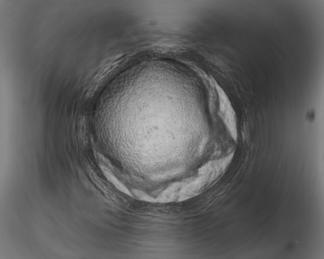 X0000116101396200912140946