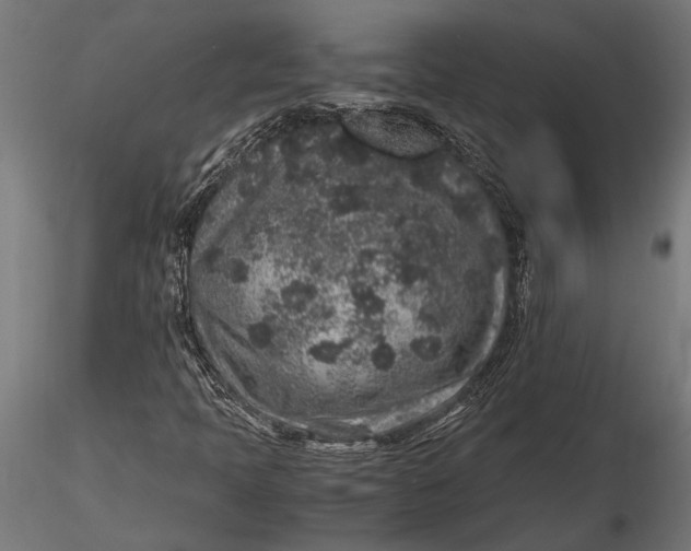 X0000116101397200912140946