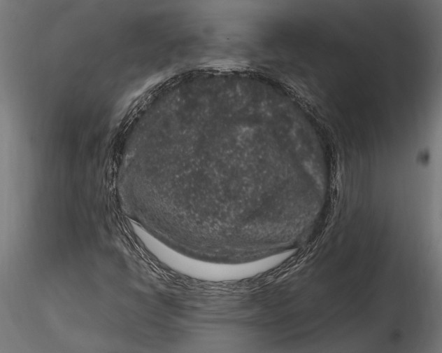 X0000116101398200912140946