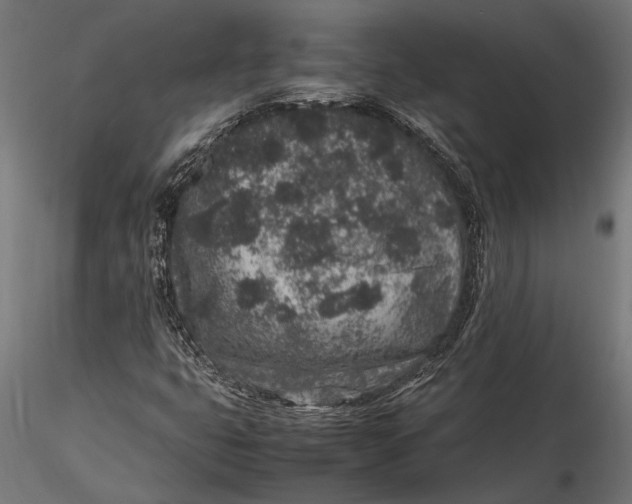 X0000116101399200912140946