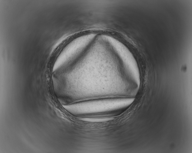 X0000116101400200912140946