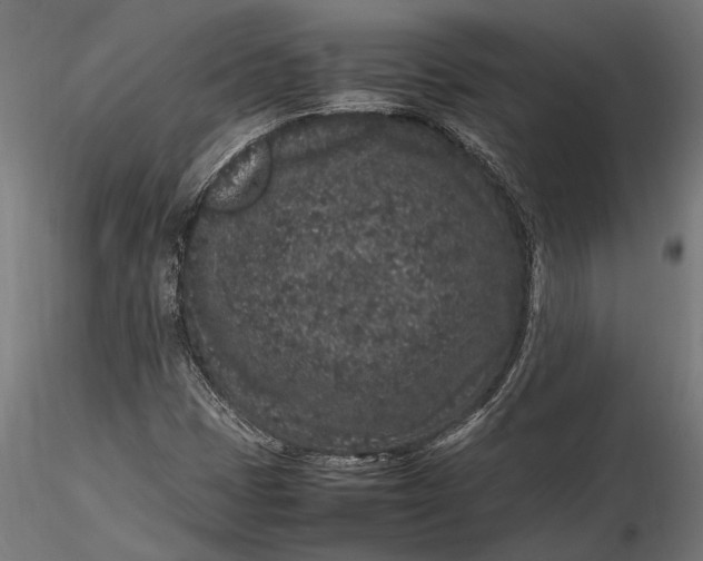 X0000116101401200912140946