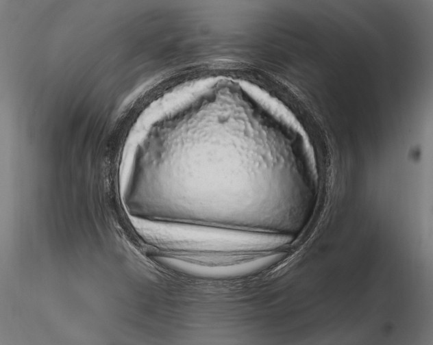 X0000116101402200912140946