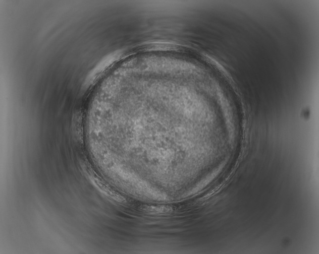 X0000116101403200912140946