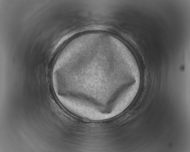 X0000116101404200912140946