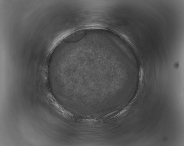 X0000116101405200912140946