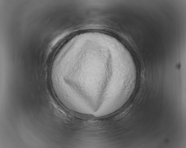 X0000116101406200912140946