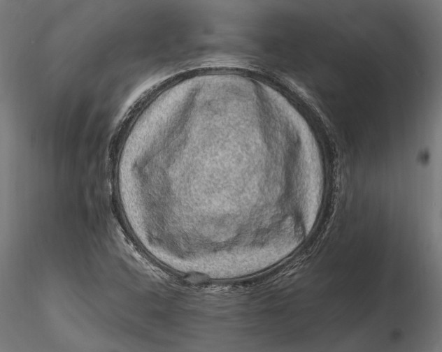 X0000116101408200912140946