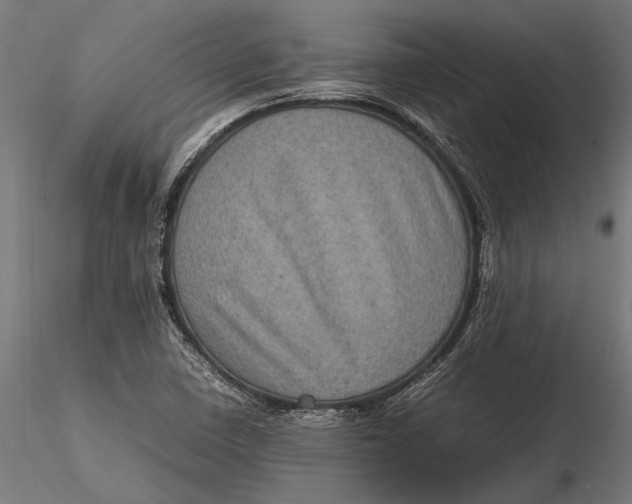 X0000116101410200912140946