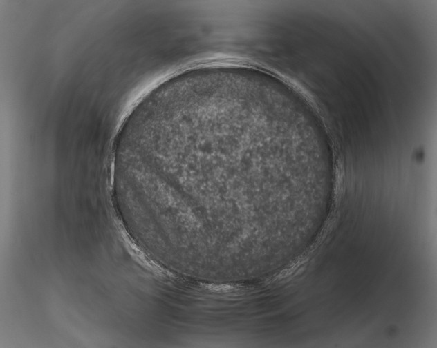 X0000116101413200912140946