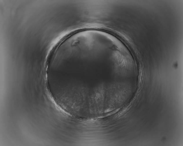 X0000116101414200912140946