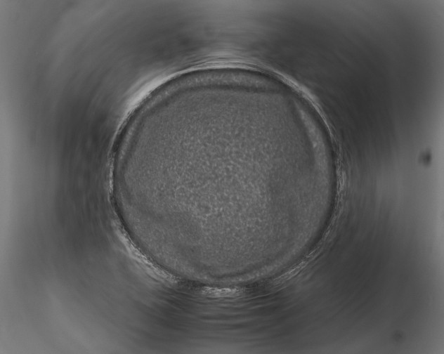 X0000116101415200912140946