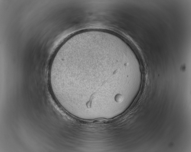 X0000116101416200912140946