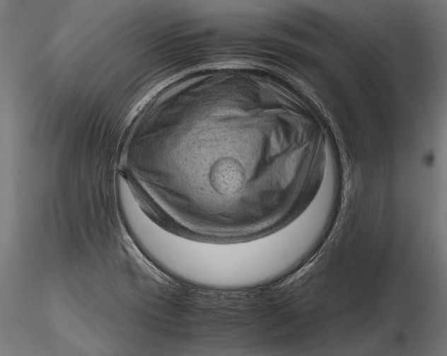 X0000116101417200912140946