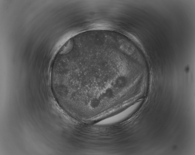 X0000116101419200912140946